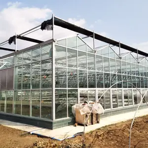 Agricultural Automatic Glass Sheet Greenhouse For Sale With Shading System