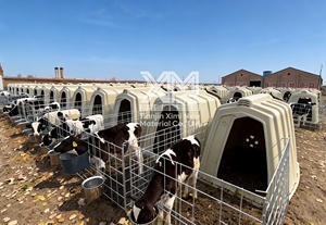 Système d'élevage de veaux extérieur résistant aux UV, enclos individuels en PE pour veaux, abri pour jeunes bovins - Product Image 6