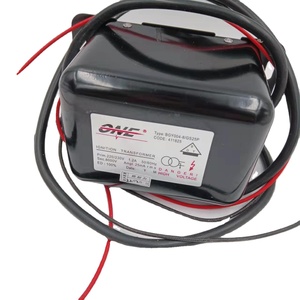 Transformador de Encendido BGY004-8/GS25P 220V 110V 24V Paquete de Alto Voltaje Hecho en China - Product Image 1