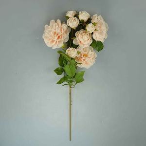 19 "<span class=keywords><strong>FLORIBUNDA</strong></span> ROSE SPRAY [HF7221] - Product Image 2