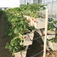 Système de culture hydroponique en gouttière pour la culture de fraises en PVC pour l'agriculture, la ferme et la serre