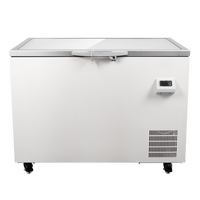 Congélateur compact à température unique Heli Deep, mini 60 L, ultra basse température -40 degrés pour hôpital, laboratoire