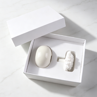 Diffuseur de parfum d'ambiance FinRu en céramique et porcelaine, avec pierres aromatiques et bâtonnets parfumés aux huiles essentielles pour la maison