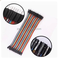 Cable de Conexión de 30 cm, 40 Pines, Macho a Hembra, Color 40P, para RFID, Tipo DuPont