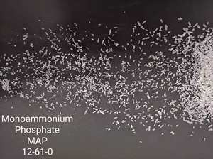 Mappa fertilizzante fosfato solubile in acqua di alta qualità integratore nutritivo per le piante - Product Image 3