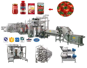Ligne de transformation de purée de tomates modulaire de 500 kg/h avec un système d'entretien <span class=keywords><strong>facile</strong></span> et un système d'exploitation simple - Product Image 6