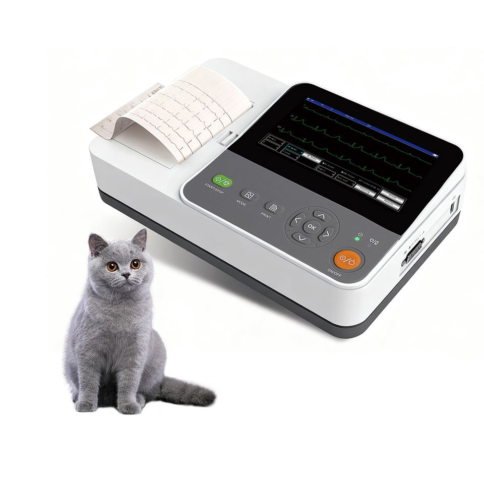Veterinary Vet ECG Machine for Dog Pet Animals| Alibaba.com