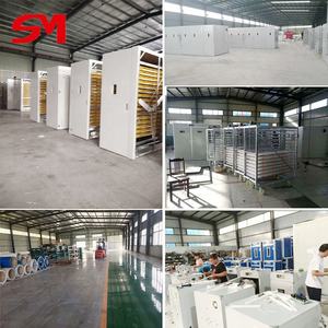 2020 nuevo tipo de suave y agradable-Solar para incubar Pavo Real huevos incubadora - Product Image 4