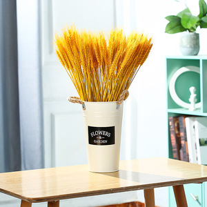 Bouquet de fleurs séchées Kch en forme d'épis de blé doré naturel, 100 épis, décoration de jardin, décoration de salon, accessoire de photographie - Product Image 3