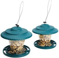 Mangeoire pour oiseaux en forme d'écureuil, 50 pièces, graines de tournesol, Version cœur