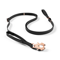 Nouvelle laisse pour chien imperméable en PVC rembourrée, solide, respirante, à libération rapide, avec rubans, lavable à la main, pour toutes les tailles