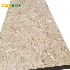 Consmos 1220*2440mm 9mm12mm WBP MR Melamine Glue OSB For Construction