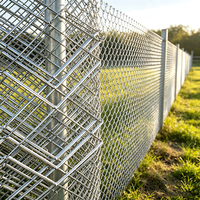 Maille Métallique Déployée en Fer Direct Usine avec Surface Anti-Corrosion pour Clôtures de Jardin et Applications Agricoles