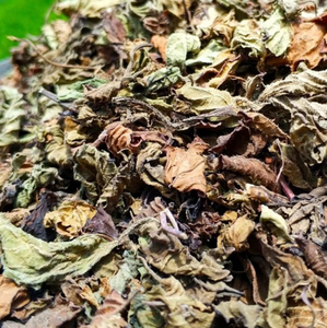 Liang fen cad nouvelle feuille de gelée d'herbe naturelle séchée pour la nourriture, vente en gros - Product Image 6