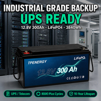بطارية TPENERGY 12.8 فولت 300 أمبير ساعة LFP ذات دورة عميقة مع نظام حماية BMS 4S لنظام الطاقة الاحتياطية الصناعي والاتصالات
