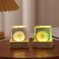 Lampe de nuit LED 3D en résine en forme de pissenlit, cube carré, alimentée par piles, rechargeable par USB, avec base en bois, lampe de bureau créative pour salon et maison