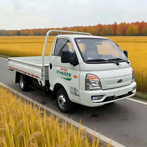 Nouveau camion électrique KAMA JMC DONGFENG FOTO Pure EV Evx1 de 3 tonnes, 2 places, 6+1 roues, transmission 4x2, direction à gauche, Euro 6, mini-camion - Product Image 1