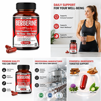 Capsules de Berbérine, Cannelle de Ceylan, Curcuma, Chardon-Marie, Melon Amer – Complément Herbal pour le Métabolisme, la Digestion et le Bien-être Cardiaque