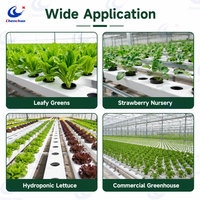 Système hydroponique ChenChao Wholesale NFT Channel avec PVC 100x50mm pour la culture de laitue en serre