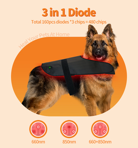 Cane intervertebrale sollievo dal dolore animali dolore articolare <span class=keywords><strong>malattia</strong></span> della pelle avvolge terapia medica luce rossa 660nm 850nm - Product Image 5