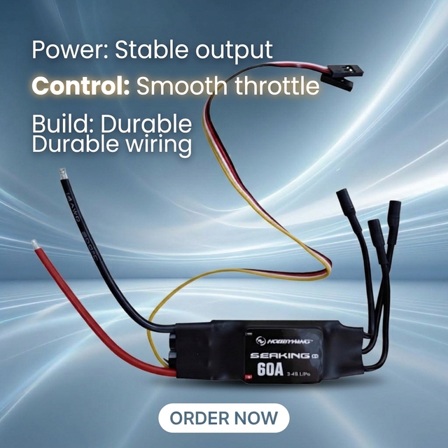 Hobbywing 60A V3 Brushless ESC 3-4S Waterproof Electronic Speed Controller for RC Boat Water Model Ship DIY RC Model Accessories