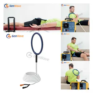 Mat Clinic Physio Magneto PEMF Therapy Homeuse Machine Physio Therapy Pain Releif Equipment PMST LOOP For Rehabilitation