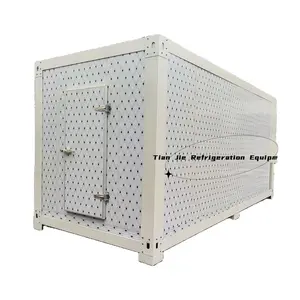 冷藏集装箱40英尺动力冷藏集装箱100毫米厚度面板冷库