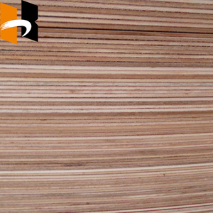 <span class=keywords><strong>Placage</strong></span> de porte <span class=keywords><strong>en</strong></span> contreplaqué Okoume Bintangor au design moderne, finition prête à l'emploi pour usage intérieur (maison et bureau) - Vente <span class=keywords><strong>en</strong></span> gros - Product Image 4