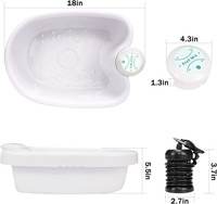 Machine de Désintoxication Électrique pour les Pieds, Spa de Bain de Pieds Ionique avec Bassine en Plastique