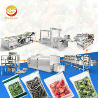 ORME Fruit- en groentereinigingslijn, machine voor het wassen en snijden van diepvriesfruit en -groenten voor conserven