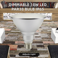 Vente directe d'usine, ampoule LED PAR38 SMD dimmable 15W 18W, en aluminium, AC85-265V, E27, IP65, étanche, éclairage extérieur pour jardin