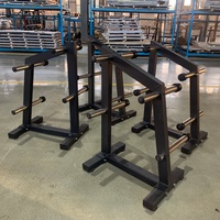 Support de rangement pour plaques de musculation robuste, organisateur de plaques de poids pour salle de sport commerciale