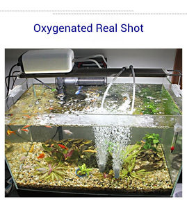 SUNSUN 1W 3W 3.5W 5W Petit aérateur pour aquarium portable, mini pompe à air pour aquarium - Product Image 2