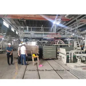 12mm 18mm Fiber Cement Board Price Production of Interior And Exterior Wall Panels Calcium Silicate Board Production Line