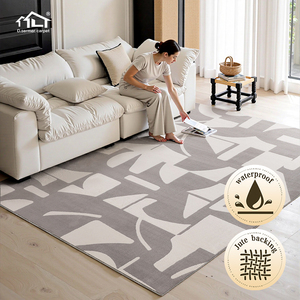 Vendita Diretta dalla Fabbrica Dsermer, <span class=keywords><strong>Tappeti</strong></span> Moderni Nordici per Soggiorno, Grandi Moquette per <span class=keywords><strong>Salone</strong></span>, <span class=keywords><strong>Tappeti</strong></span> per la Casa - Product Image 1