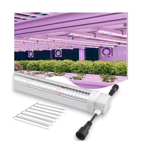 Vente en gros de tubes lumineux LED pour plantes de 60 cm, 90 cm, 120 cm, indice de protection IP65, spectre complet, angle de faisceau de 120 degrés pour la croissance en intérieur