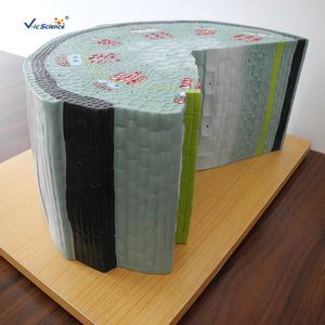 Modèle de cellule de structure souche dicot Modèle de cellule souche végétale Modèle anatomique de cellule végétale - Product Image 4