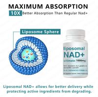 Capsules OEM Liposomales NAD+ 1000mg, 60 Gélules Molles, Végétaliennes, Faible Teneur en Sucre, Complément Alimentaire Herbal, Extrait de Thé Vert, Sans OGM, Immunité Adulte