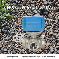 Vanne à boisseau sphérique motorisée électrique miniature en acier inoxydable CR02 à rappel par ressort, connexion NPT, garantie 1 an pour l'irrigation de l'eau, OEM