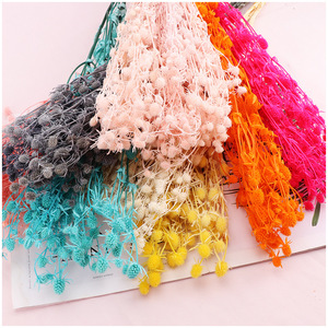 Fleurs séchées en gros d'Éryngium <span class=keywords><strong>foetidum</strong></span> (Eryngo) préservées, 70-80 cm, pour la Saint-Valentin et la décoration de mariage, 100g/paquet, couleurs personnalisées - Product Image 1