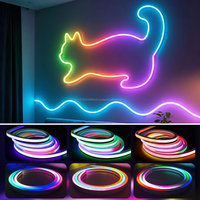 Bande lumineuse LED en silicone souple imperméable pour extérieur, couleur fantôme, télécommande intelligente, bande lumineuse néon, lumière décorative ambiante, 5V