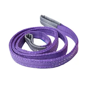 中国制造商EN1492-1 100% 聚酯1t紫色平带吊索