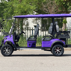 TONGCAI China Long Range OEM/ODM CE Certified <strong>4</strong> <strong>Seater</strong> <strong>Electric</strong> Golf Cart For Hunting - Product Image 4