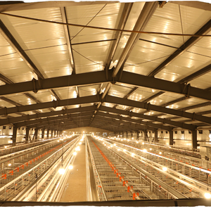 Cage à volailles de type 4 à 4 niveaux, antirouille, économique, d'occasion, pour poules pondeuses et poulets de chair, pour le Kenya - Product Image 1