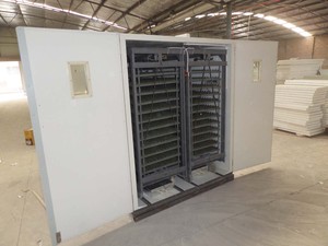 Giá Bán Buôn Giữ 8448 Trứng Gà Lồng Ấp 98% Ấp Trứng Tỷ Lệ Máy Ấp Trứng - Product Image 4