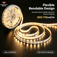 Bande LED flexible haute luminosité DC24V 176 LED/m SMD2835, température de couleur 3000K-6000K, éclairage paysager à corps en cuivre.