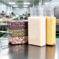 Sacs sous vide en PA de qualité alimentaire pour briques de riz, sacs d'emballage anti-oxydation pour céréales, haricots, riz, imprimés sur mesure