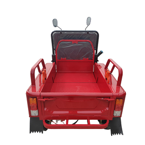 Tricycle léger à moteur à essence, Tricycle bon marché, fabriqué en chine - Product Image 6