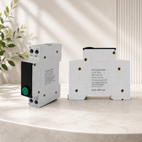 Disjoncteur miniature intelligent WiFi Tuya 1P 63A avec protection contre les surcharges et les courts-circuits, montage sur rail DIN