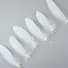 Plumes <span class=keywords><strong>de</strong></span> duvet d'<span class=keywords><strong>oie</strong></span> super douces <span class=keywords><strong>de</strong></span> qualité supérieure, blanchies, pour literie et textiles - Product Image 3